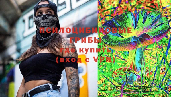 ГАЛЛЮЦИНОГЕННЫЕ ГРИБЫ Алзамай