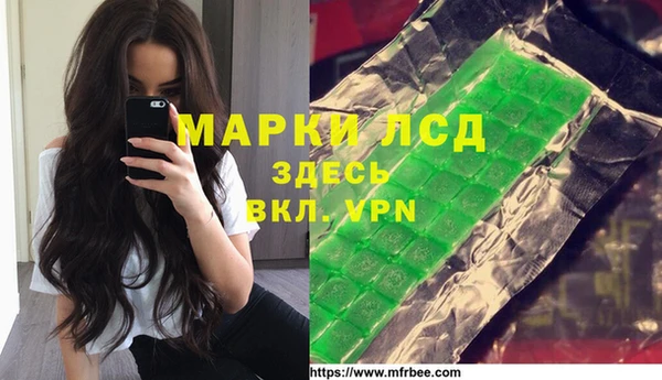 ГАЛЛЮЦИНОГЕННЫЕ ГРИБЫ Алзамай