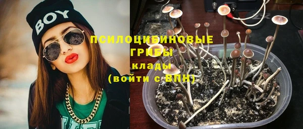 тгк Алексеевка